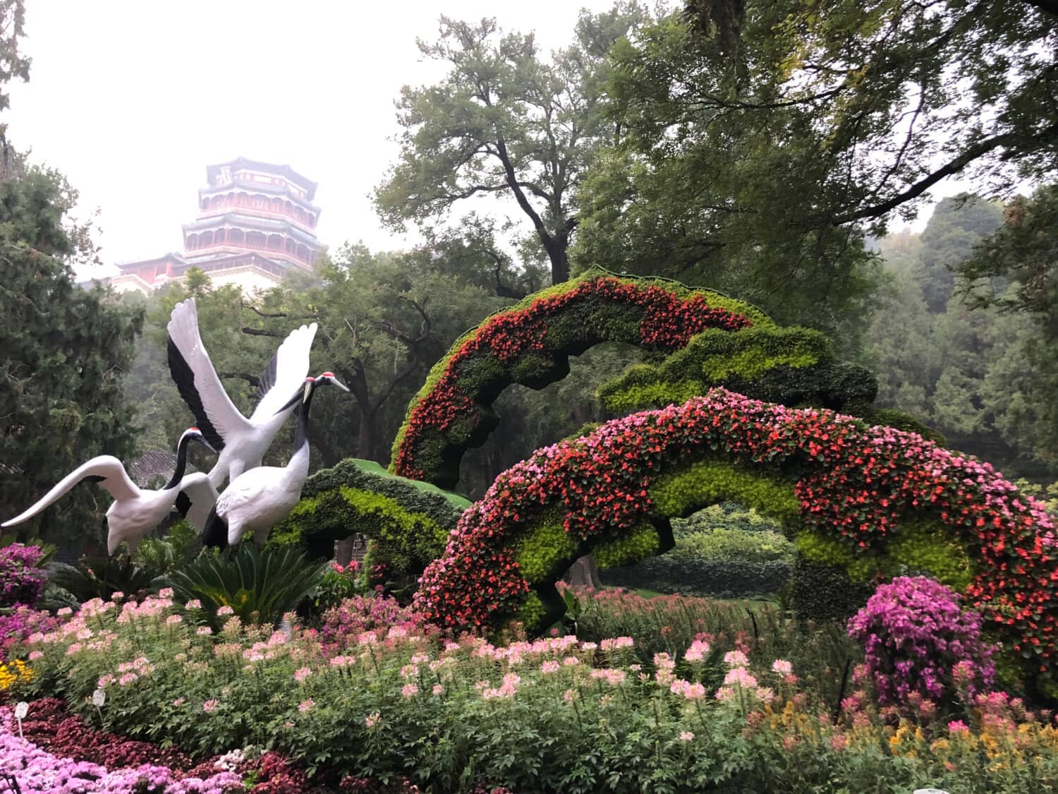Butterfly House