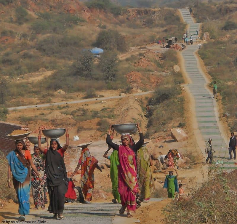 Peaceful Walking Trails