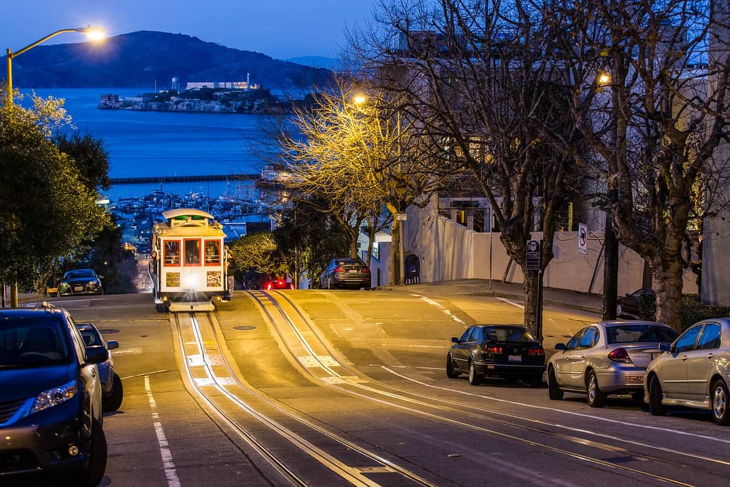 Chestnut Street Boutiques