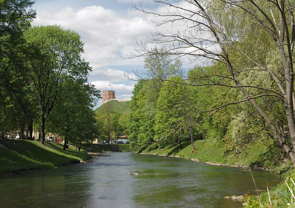 Riverside Relaxation