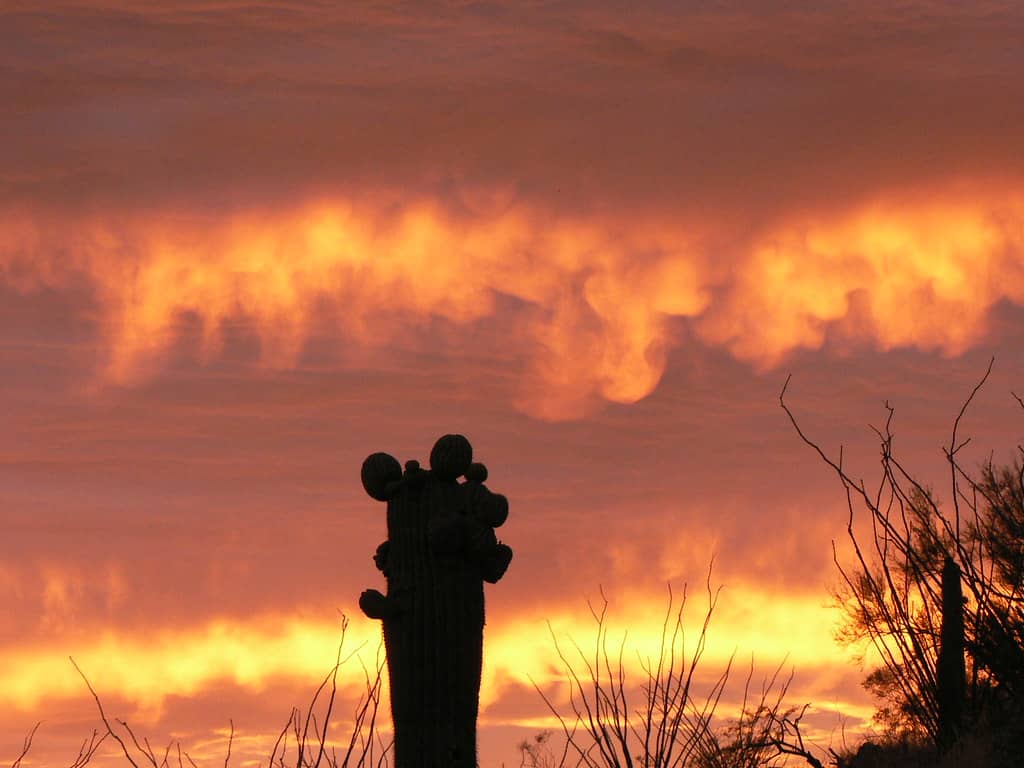 Desert Sunsets & Sunrises