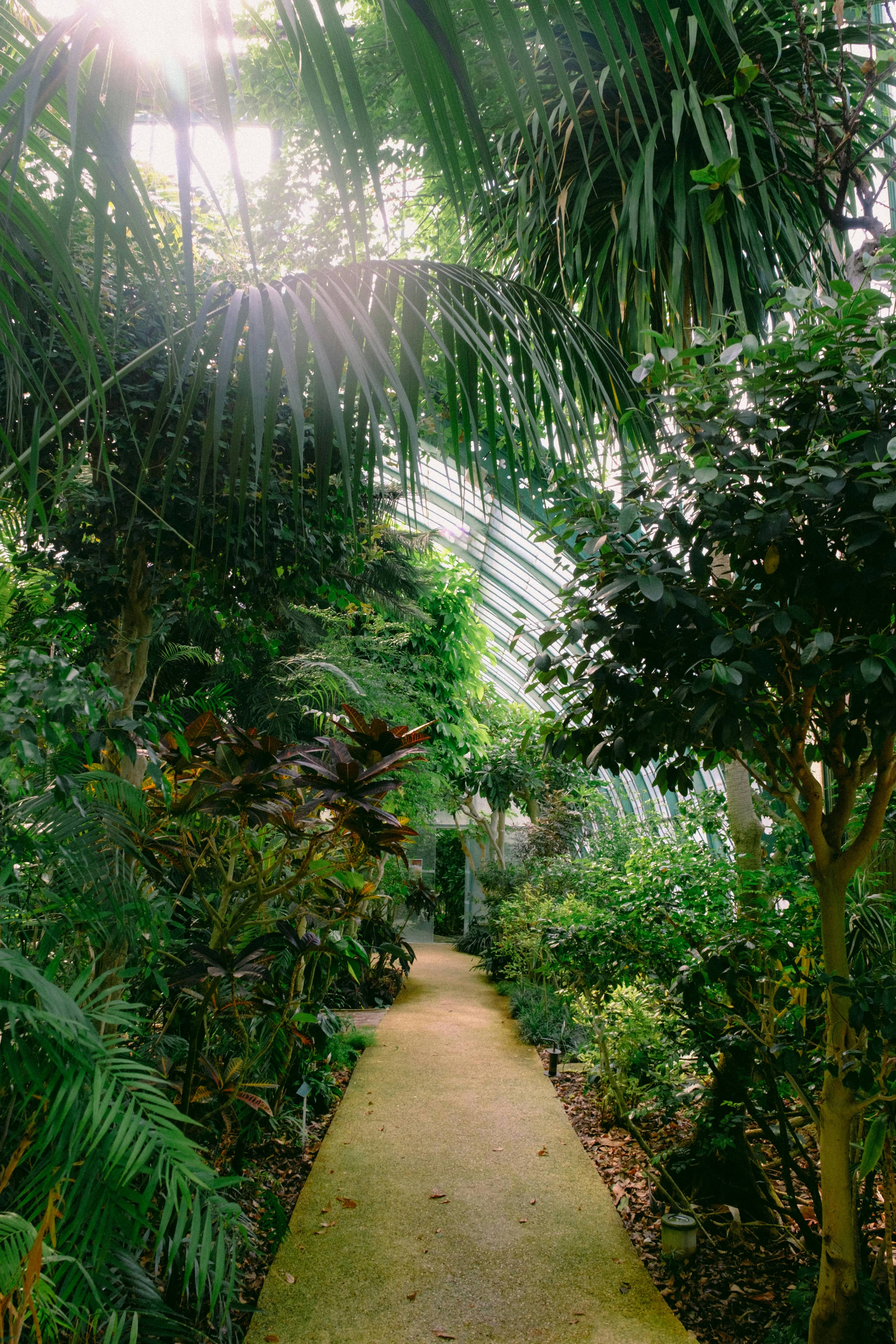 Tropical Greenhouses