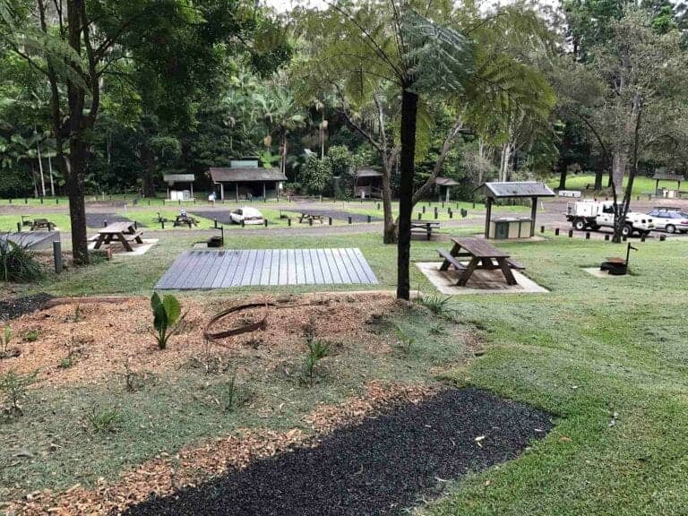 Night Fishing Adventures