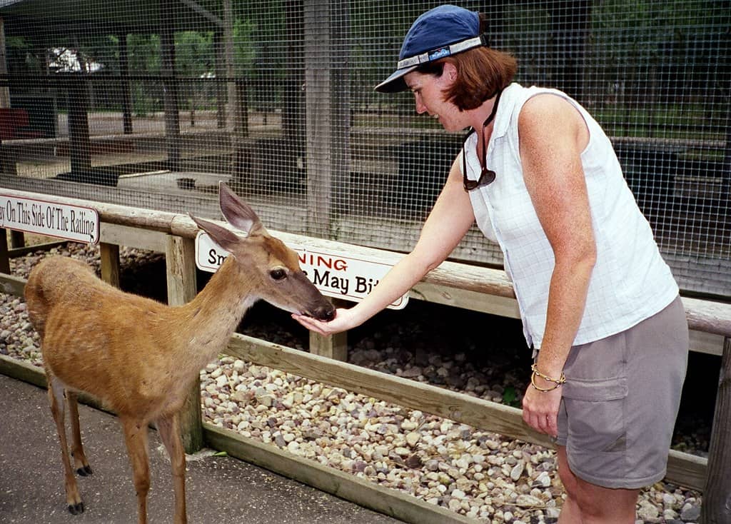 Interactive Animal Habitats