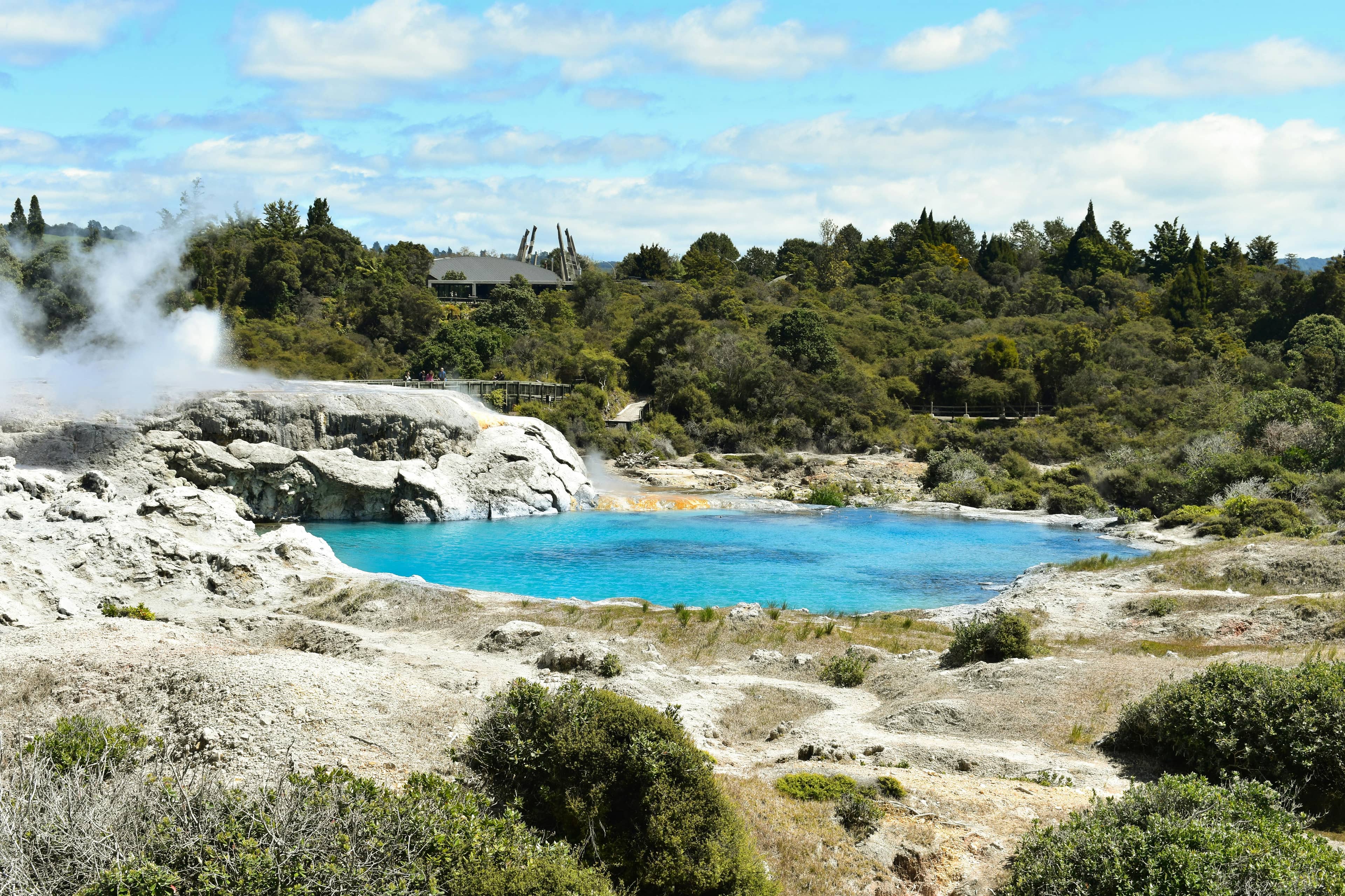 Rotorua Lake Caldera Views