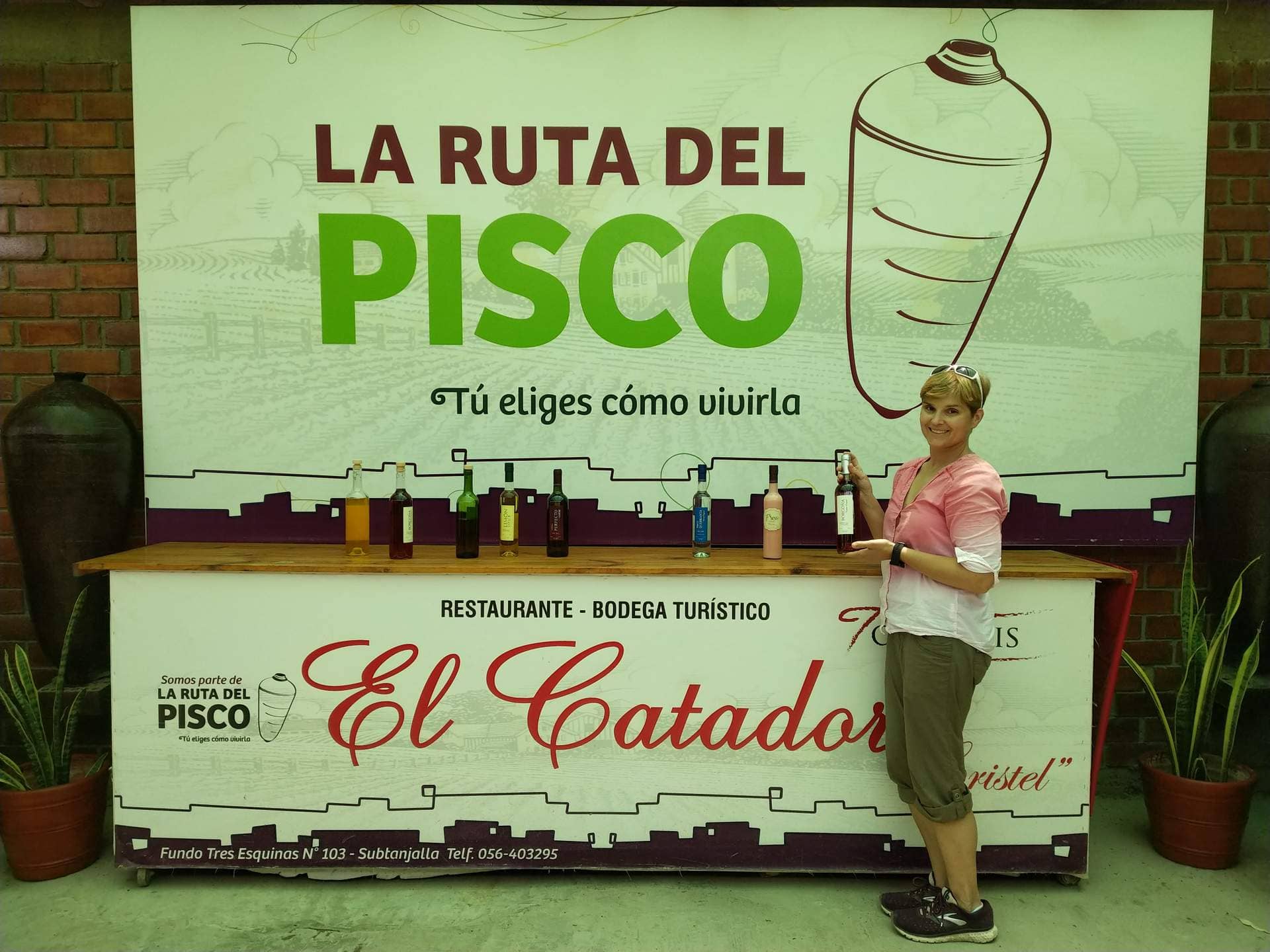 Wine Tasting Experience