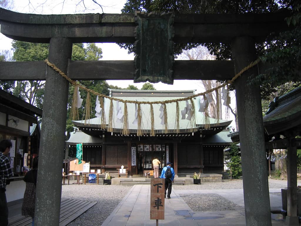 Ancient Trees and Nature