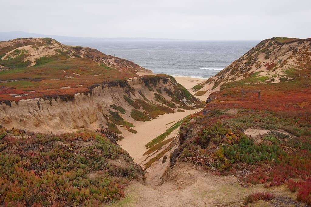 Sand Dunes Exploration
