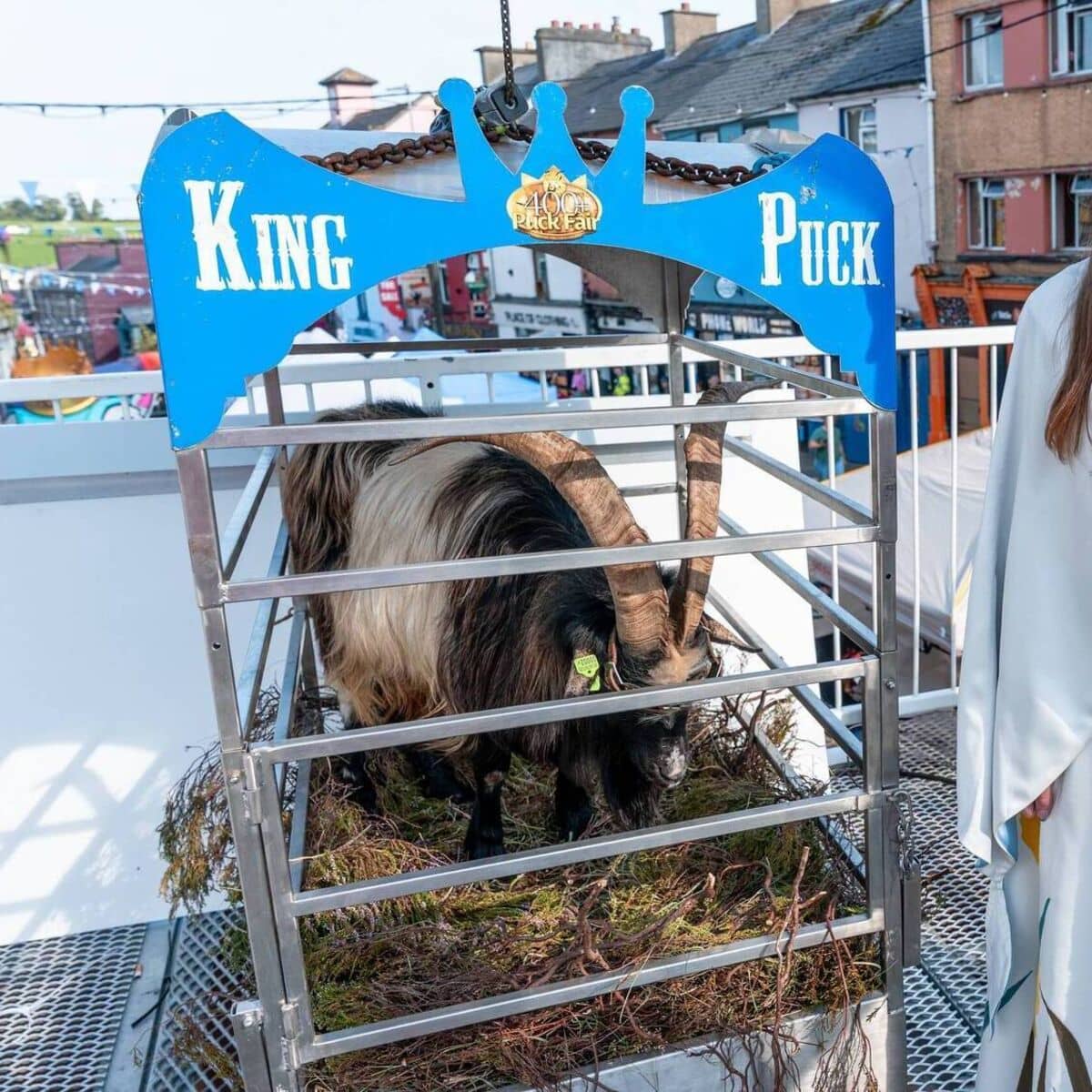 Diverse Performances