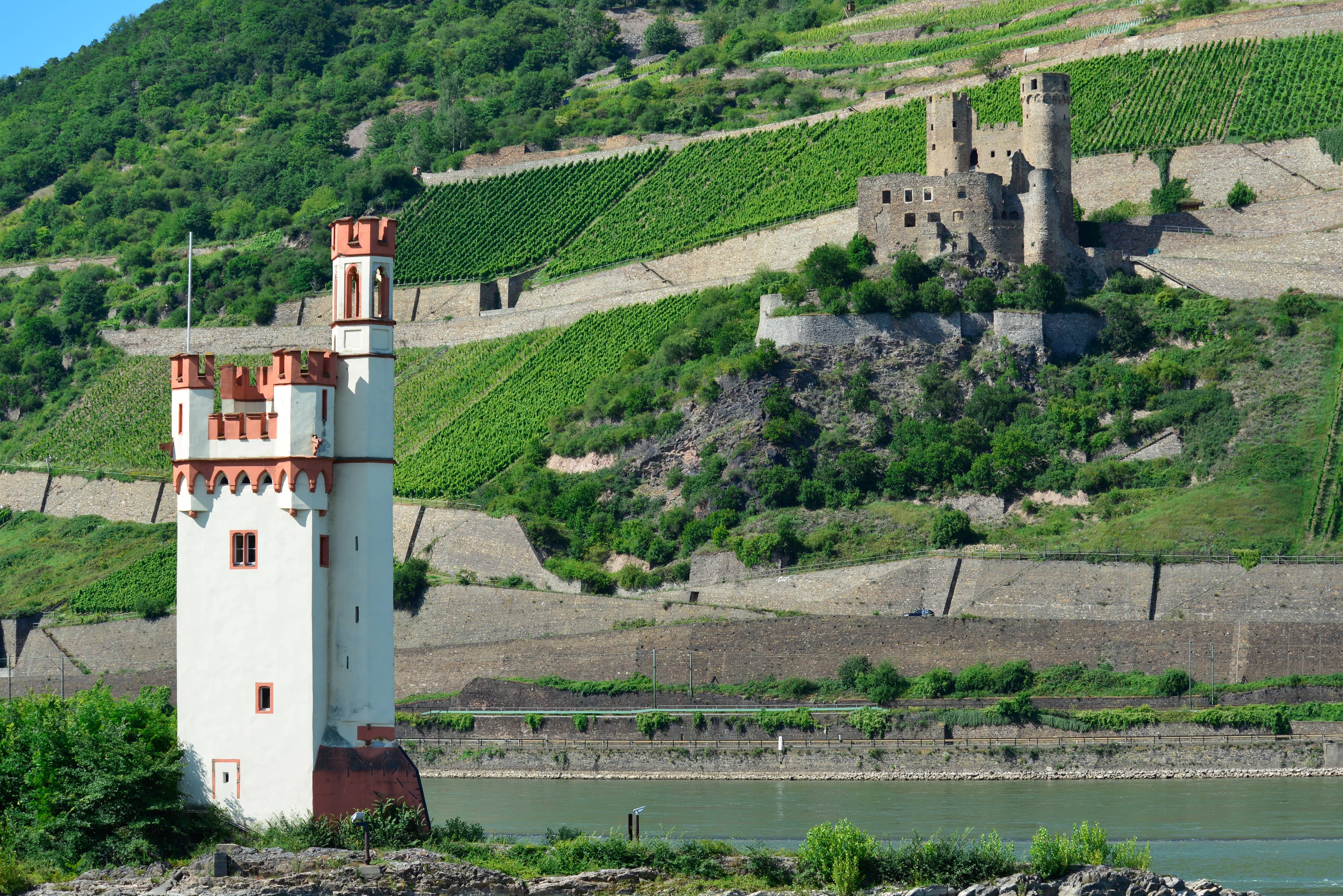 Mouse Tower (Mäuseturm)