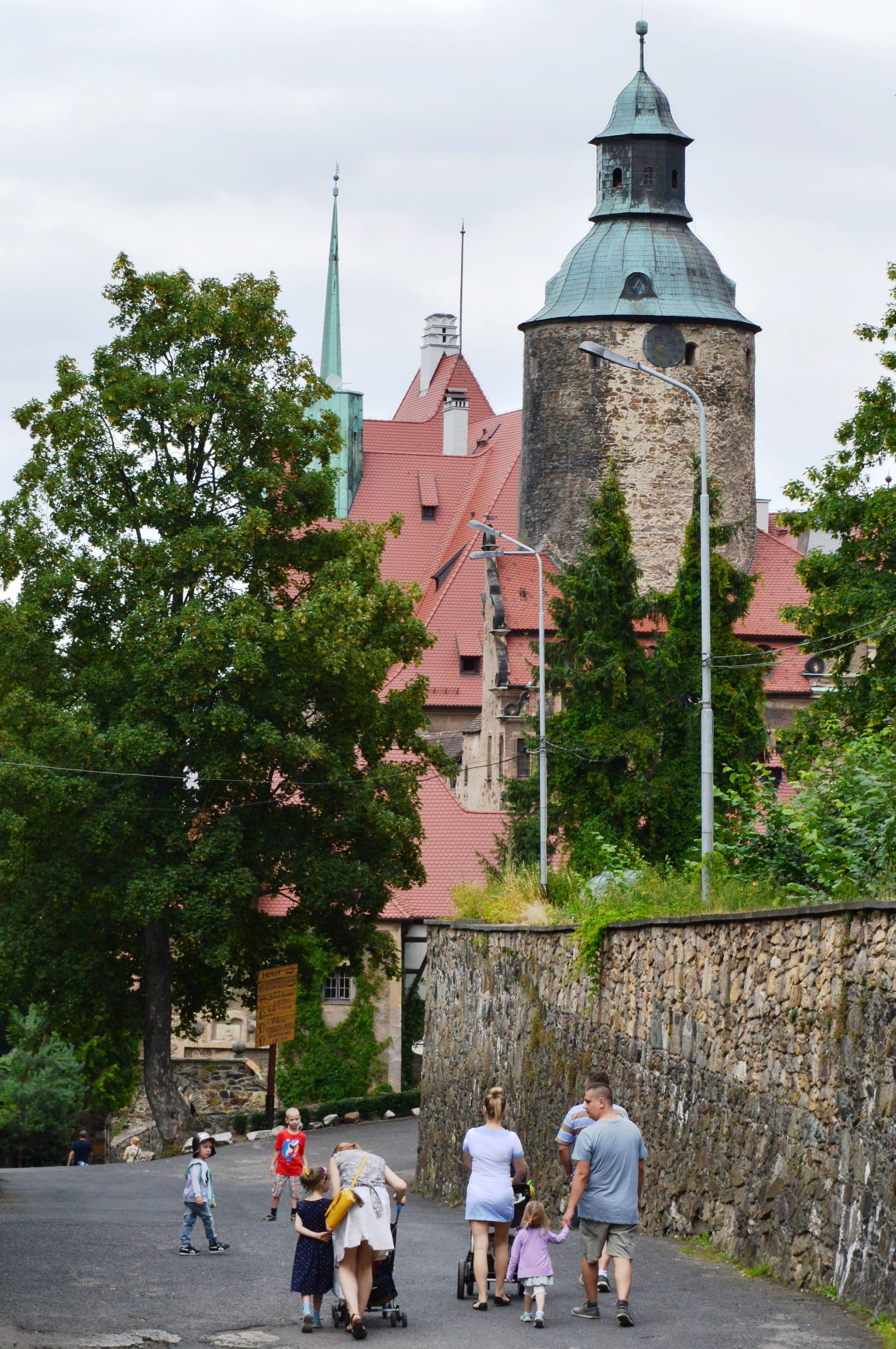 Peaceful Forest and Lake Surroundings