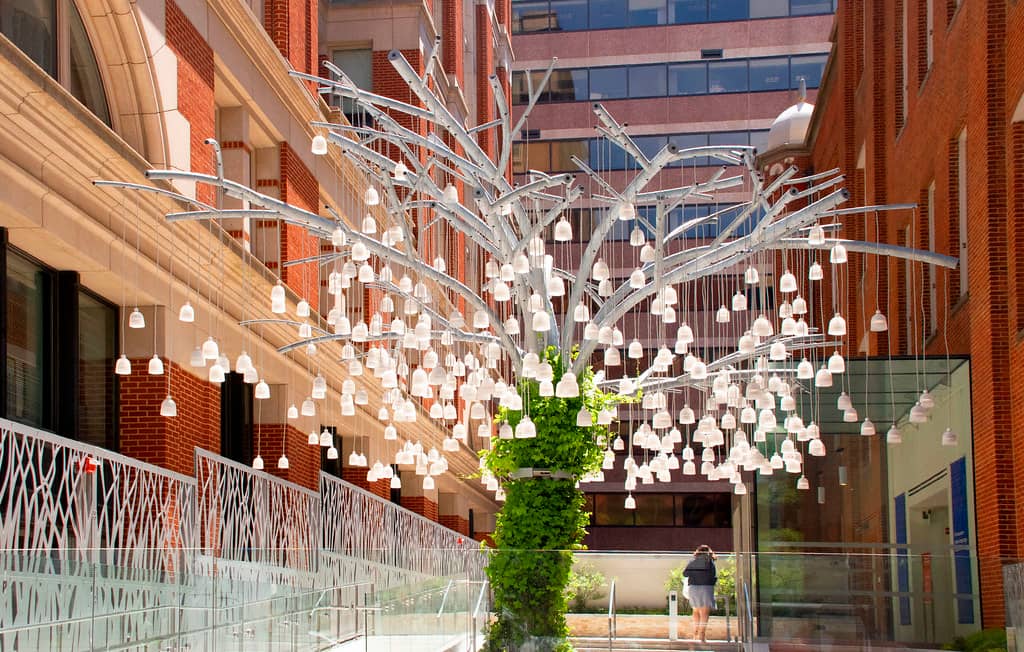 Speaking Willow Tree