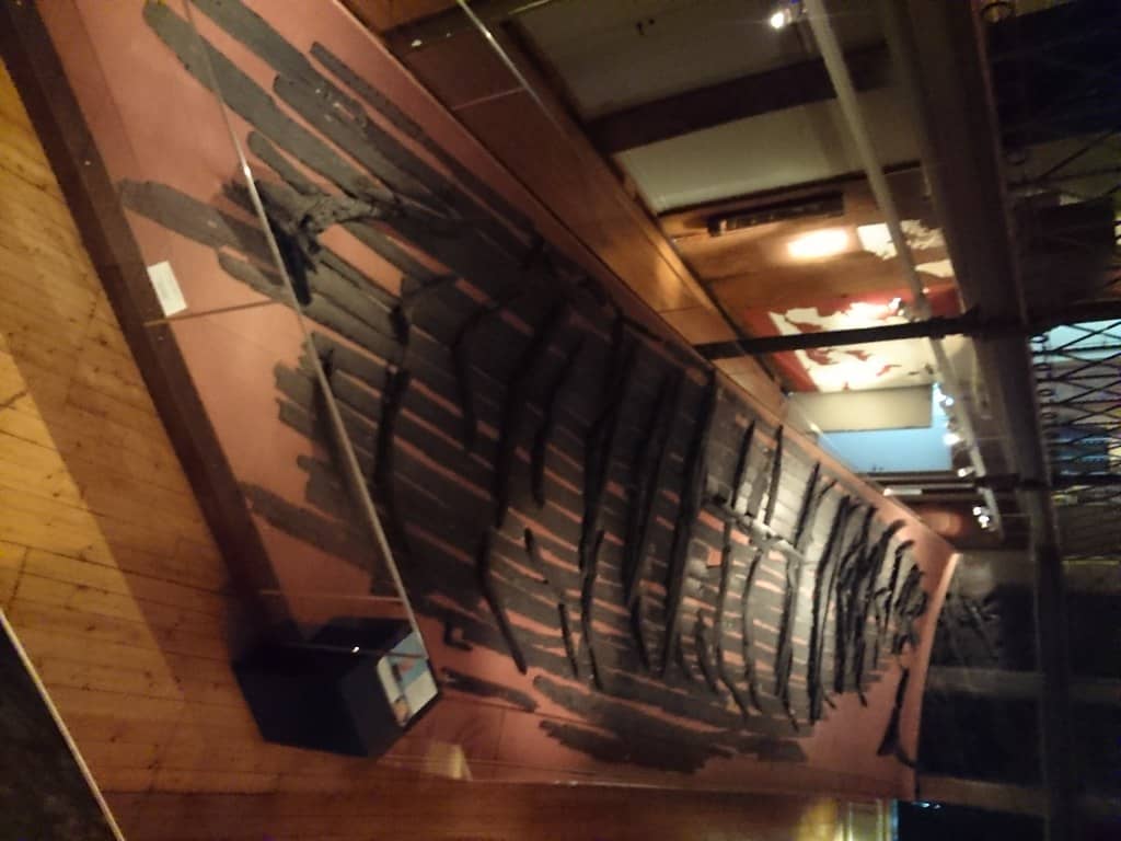 Viking Age Treasures