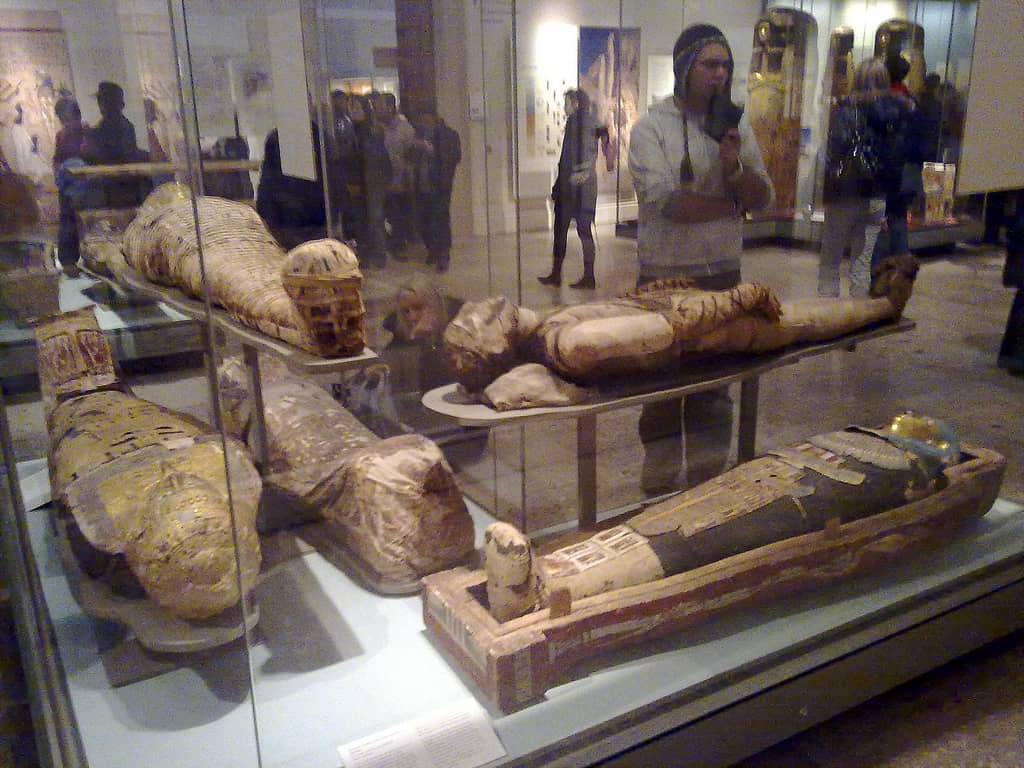 Egyptian Mummies