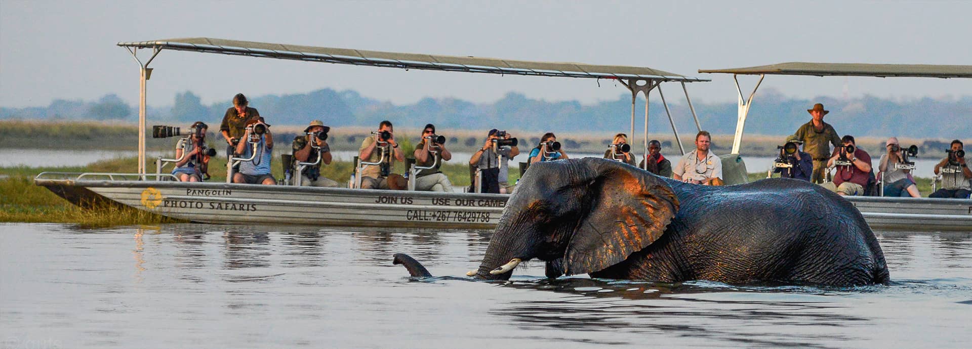 Calm, Shallow Waters