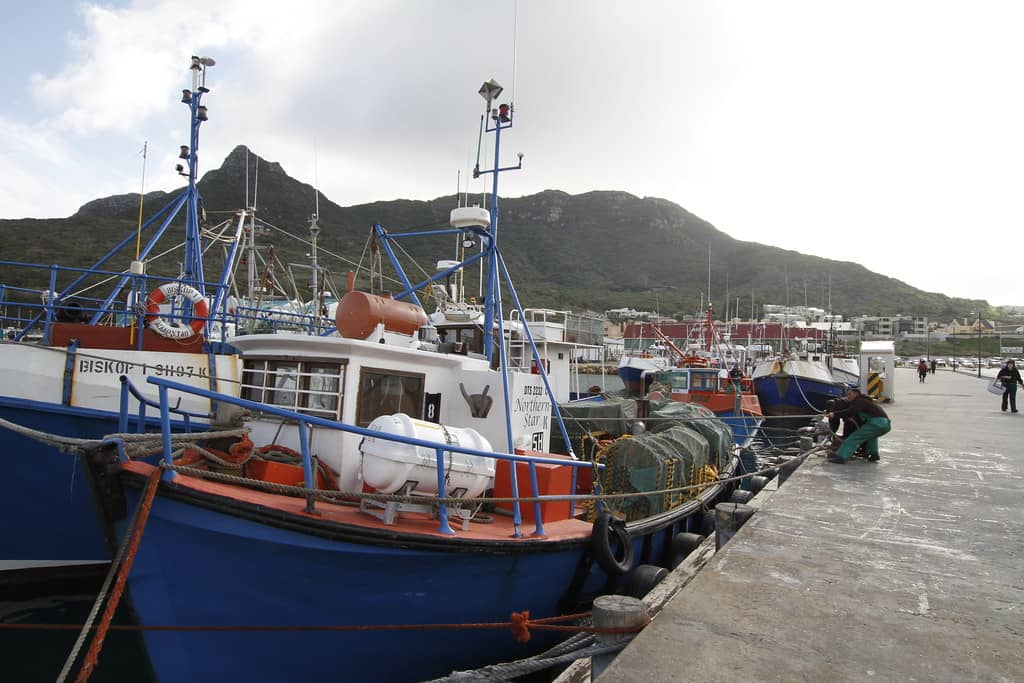 Hout Bay Harbour
