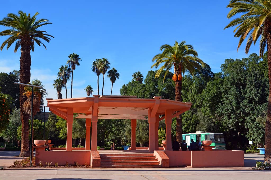 Photographer's Dream