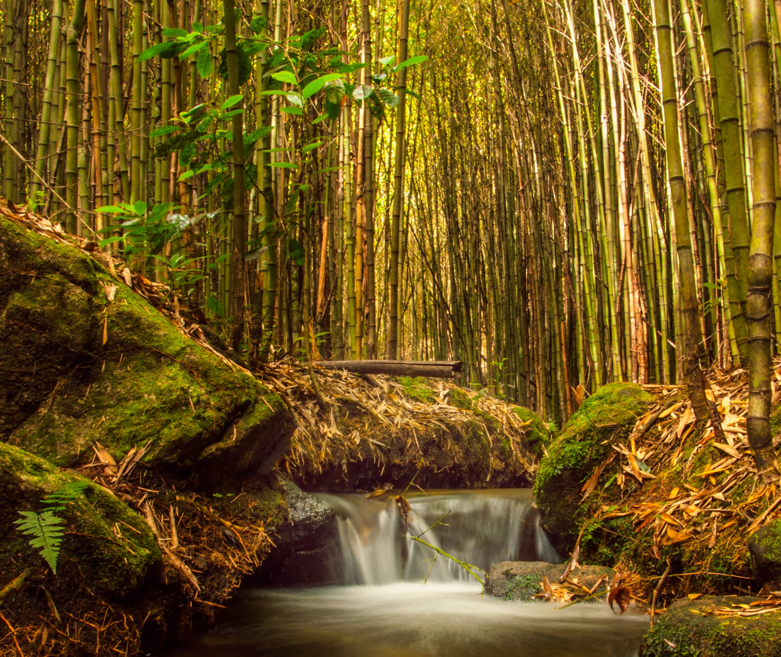 Marvellous Waterfall