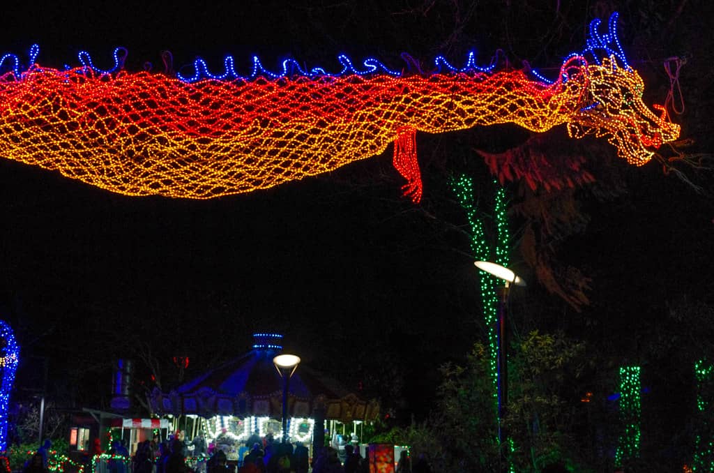 Zoo Lights Spectacle