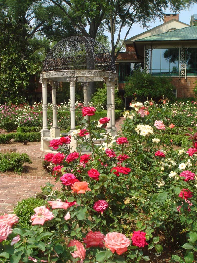 Rose Garden