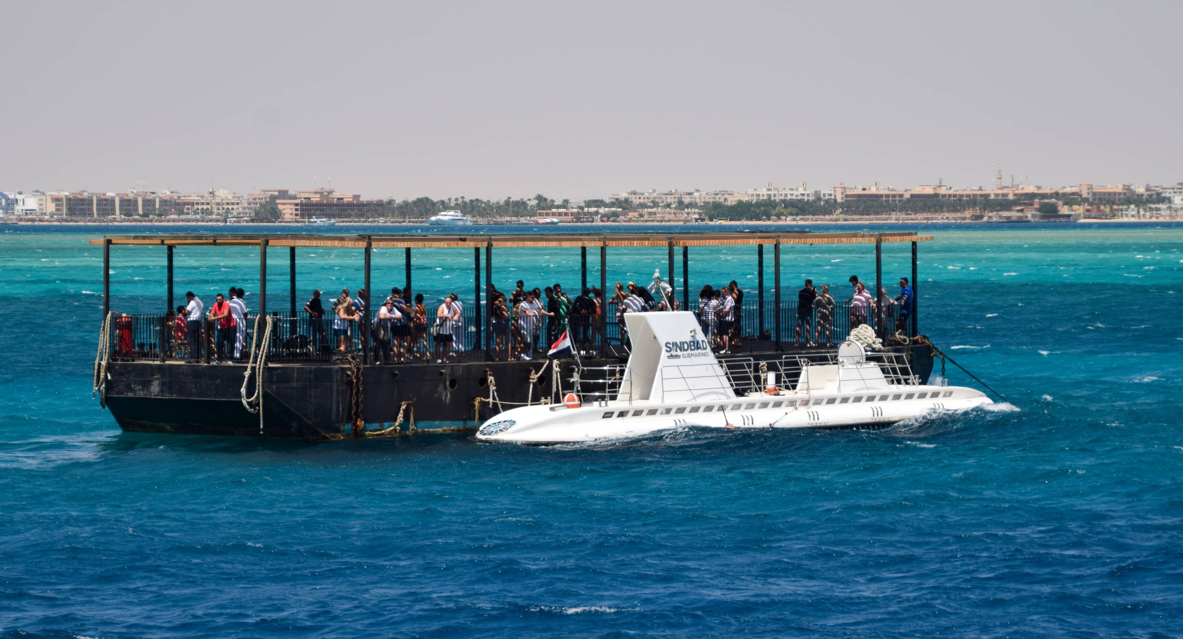 Marine Life Spectacle