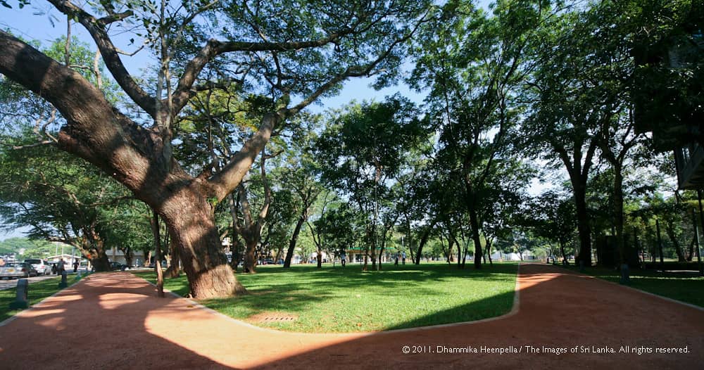 Peaceful Green Lawns