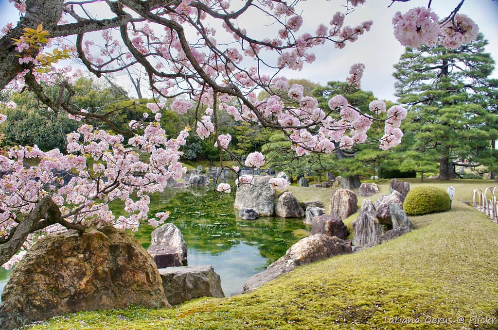 Nijo Castle Gardens