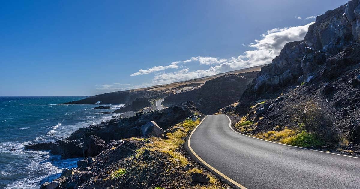 Tranquil Walking Path