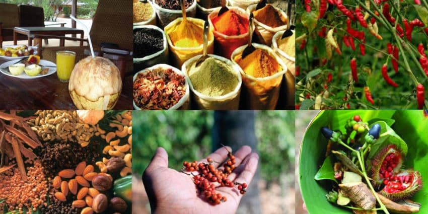 Authentic Village Life