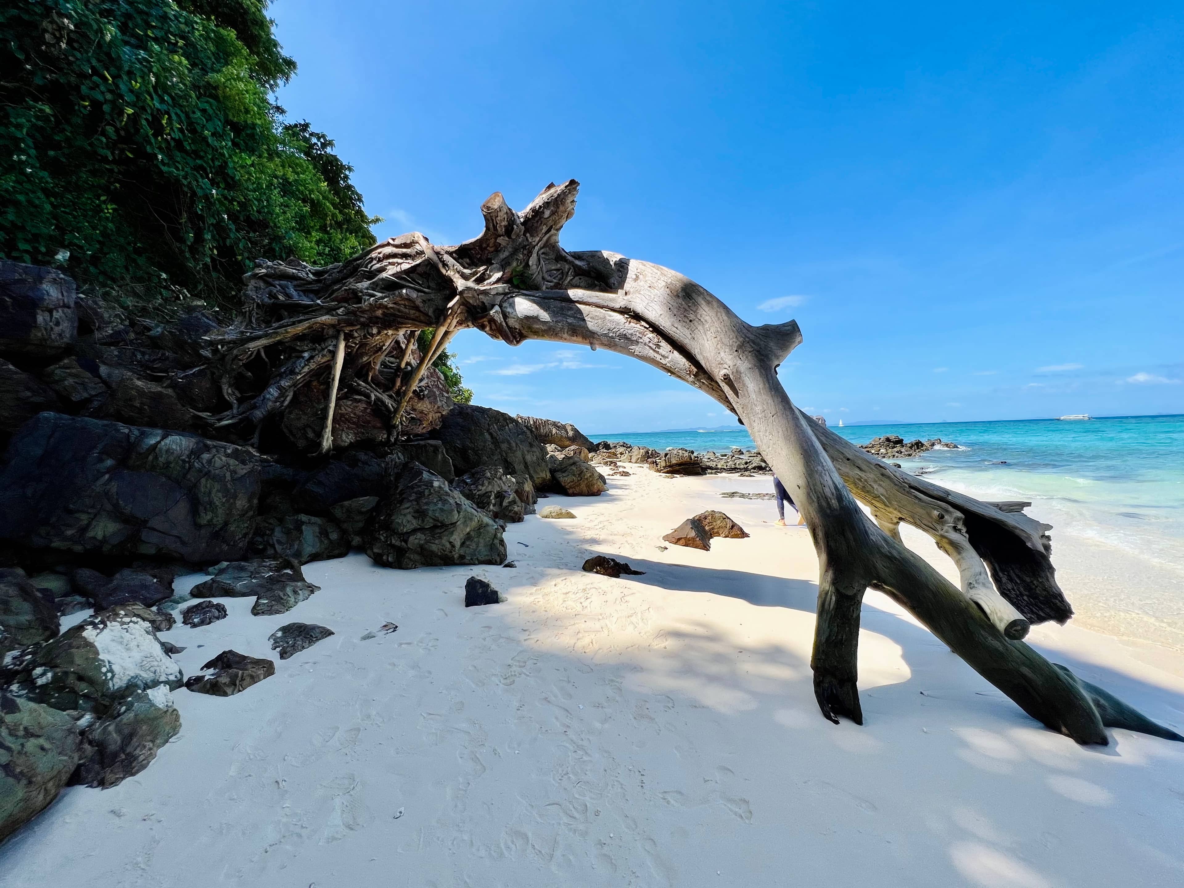 Rocky Shoreline Exploration