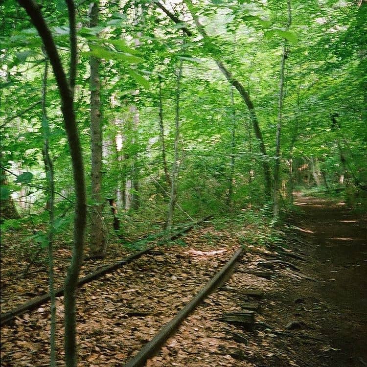 Wooded Hiking Trails