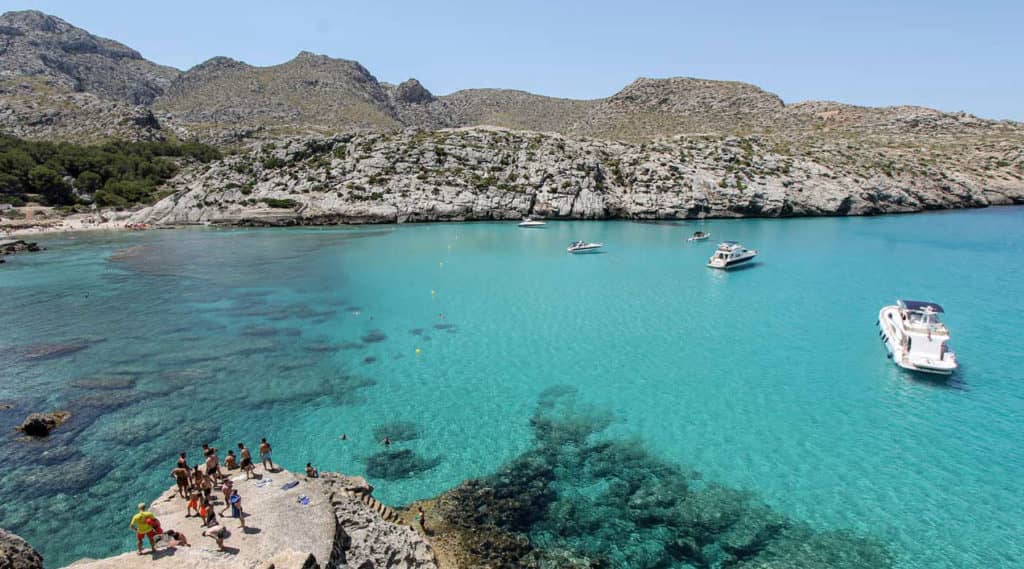 Morning Jog or Evening Stroll