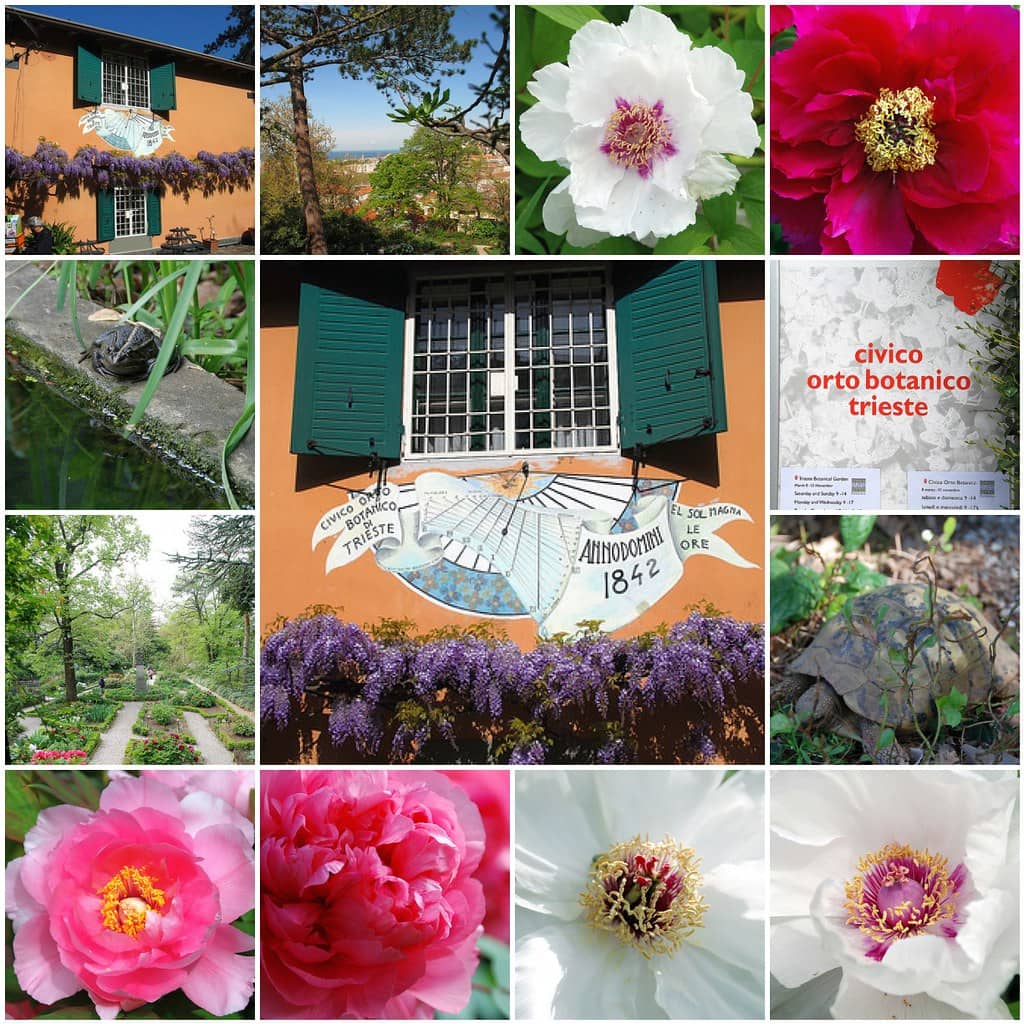 Diverse Plant Collections