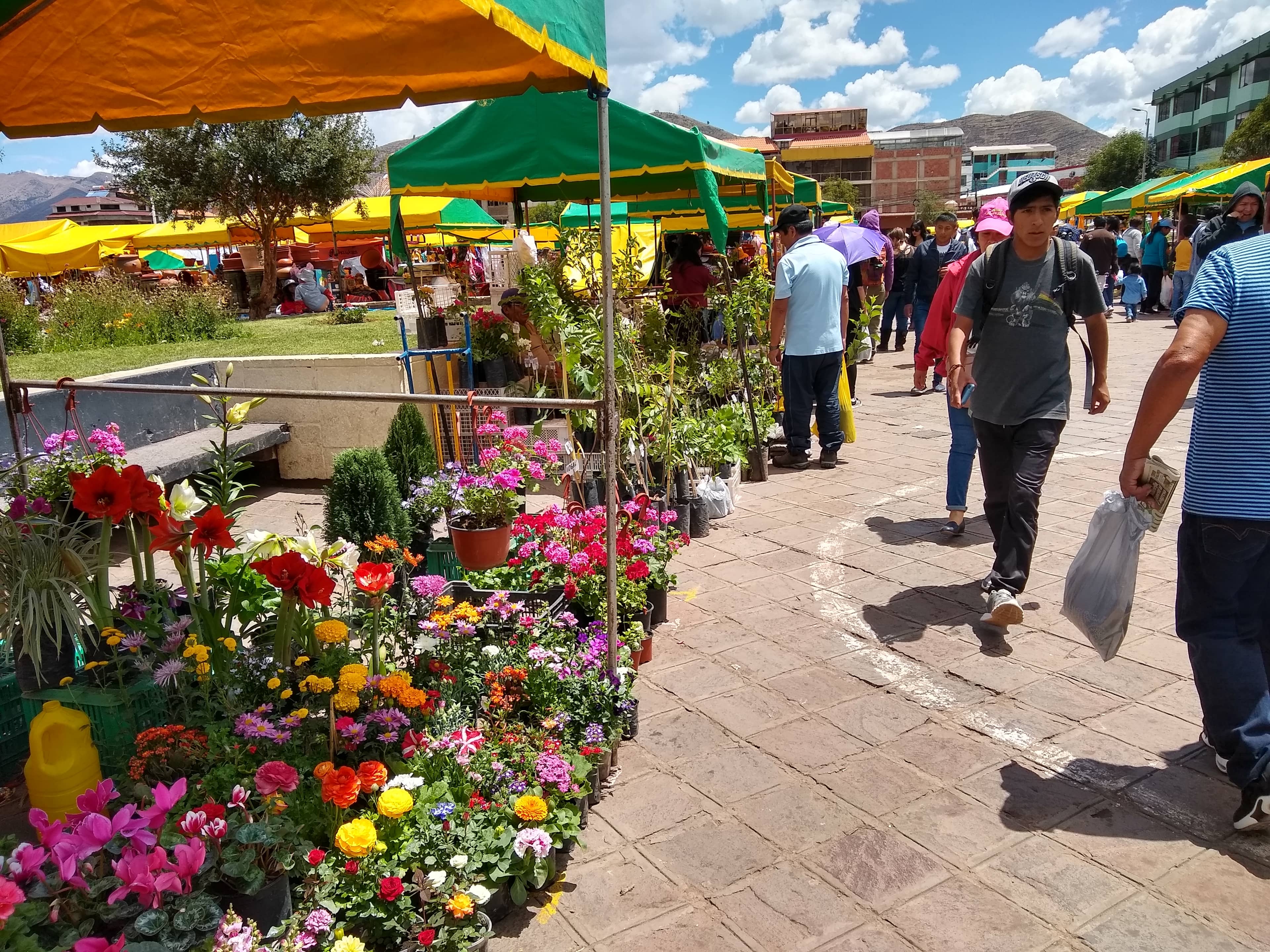 Authentic Local Flavors