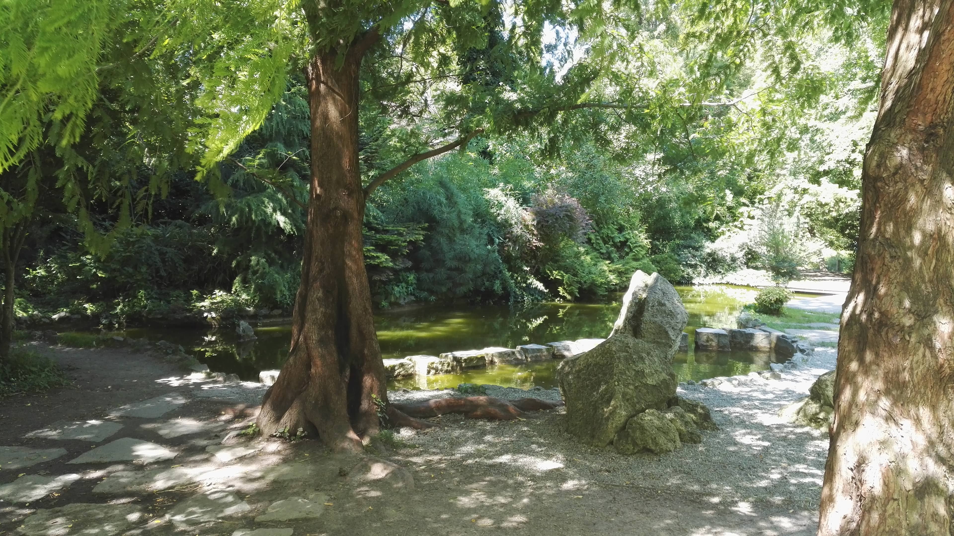 Japanese Garden