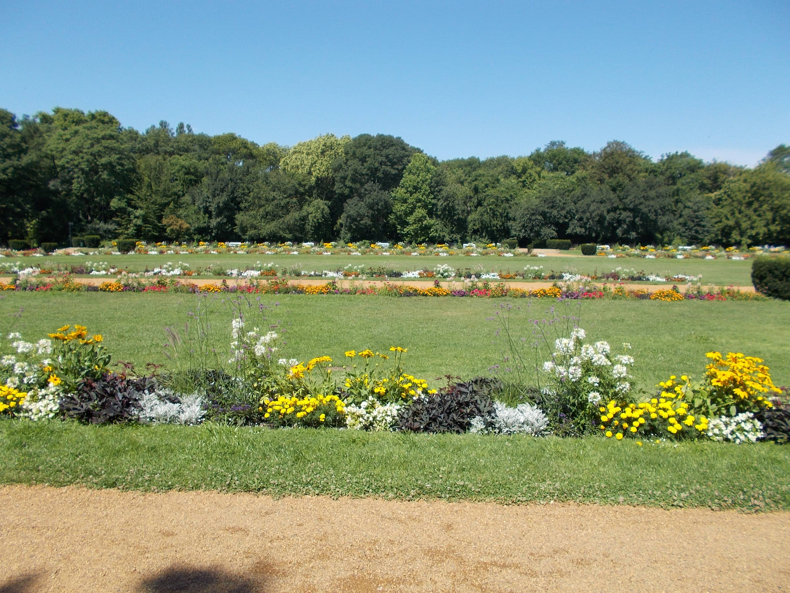 Seasonal Flower Displays