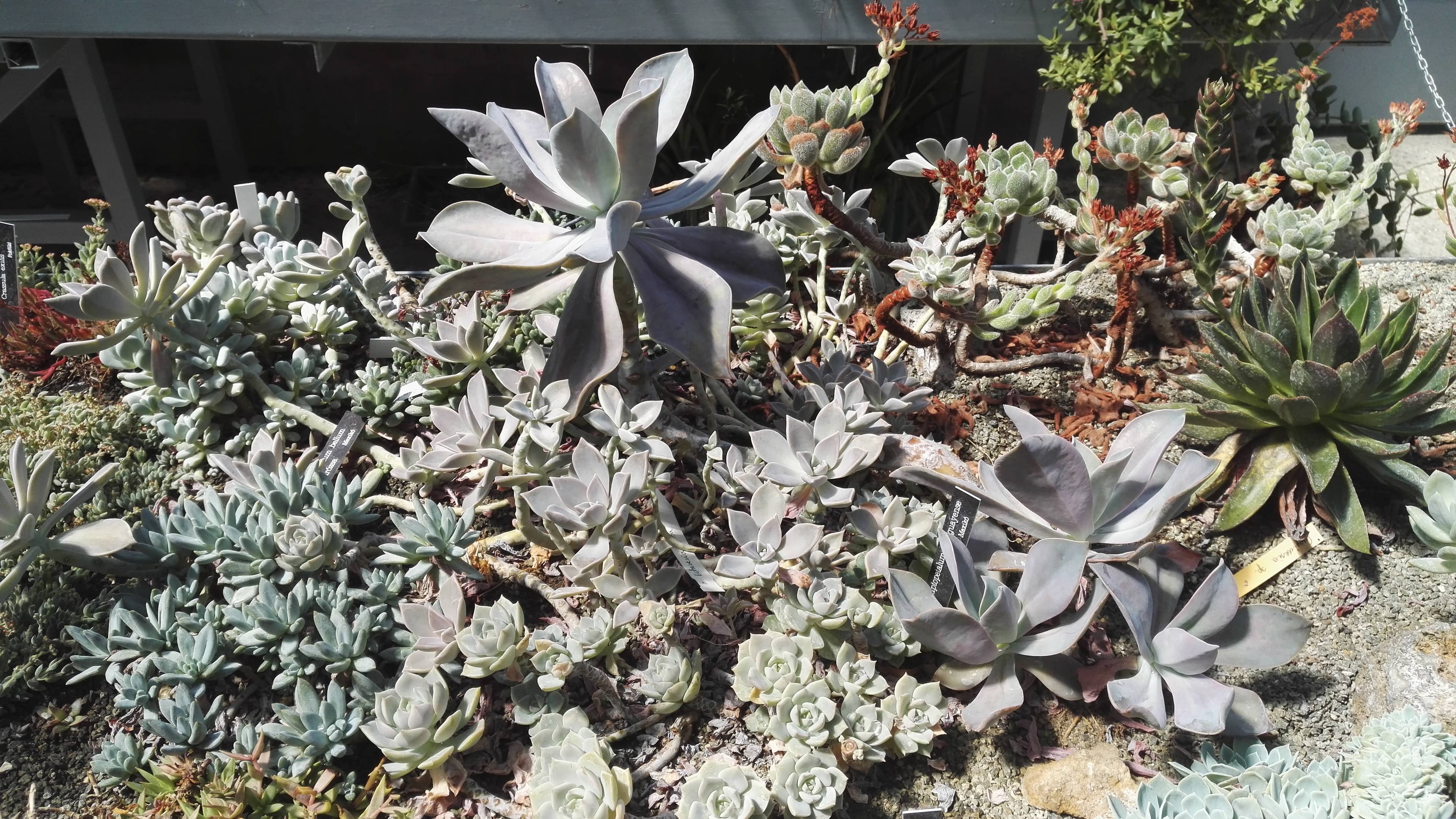 Garden of Lights (Seasonal)