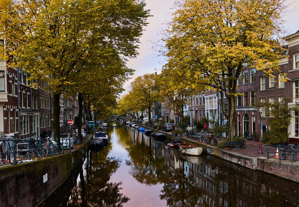 Cozy Cafes and Eateries