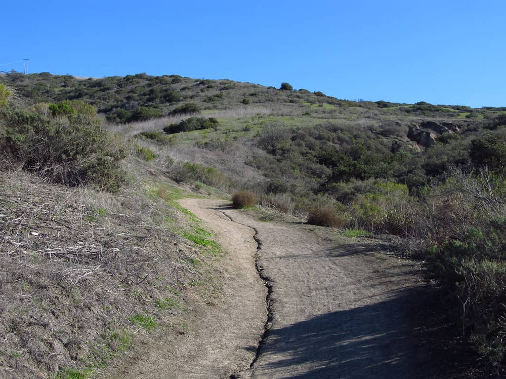 Canyon Acres Trail