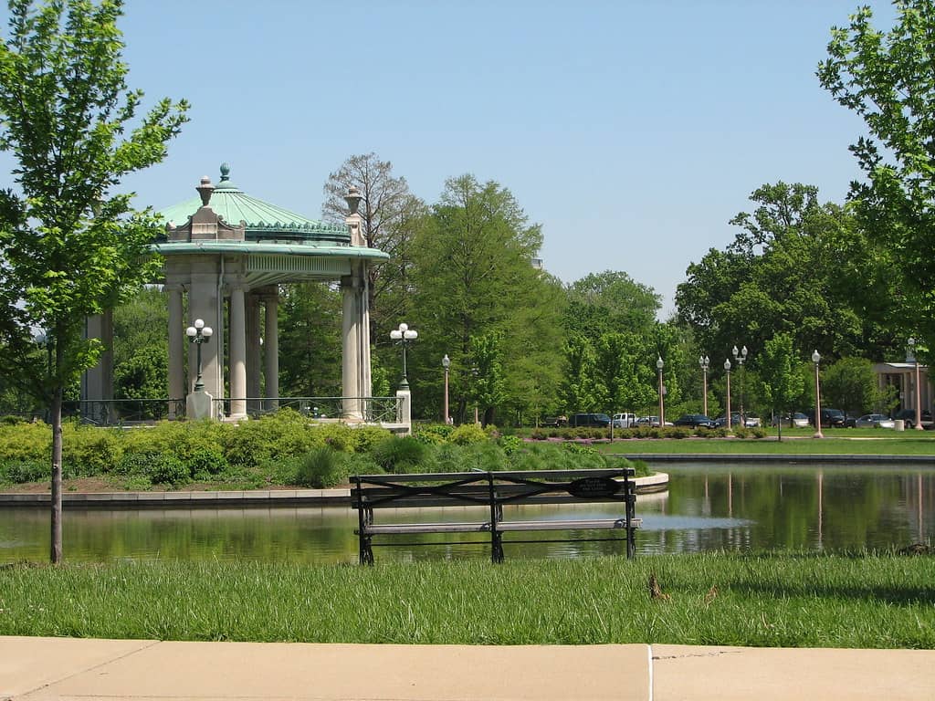 Forest Park Ambiance