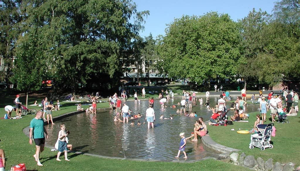 Seattle's Community Hub