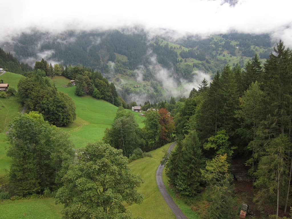 Gondola Ride to Grindelwald First