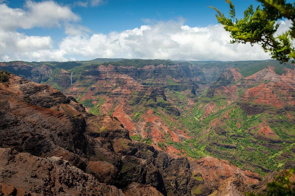 Easy Urban Loop Trail