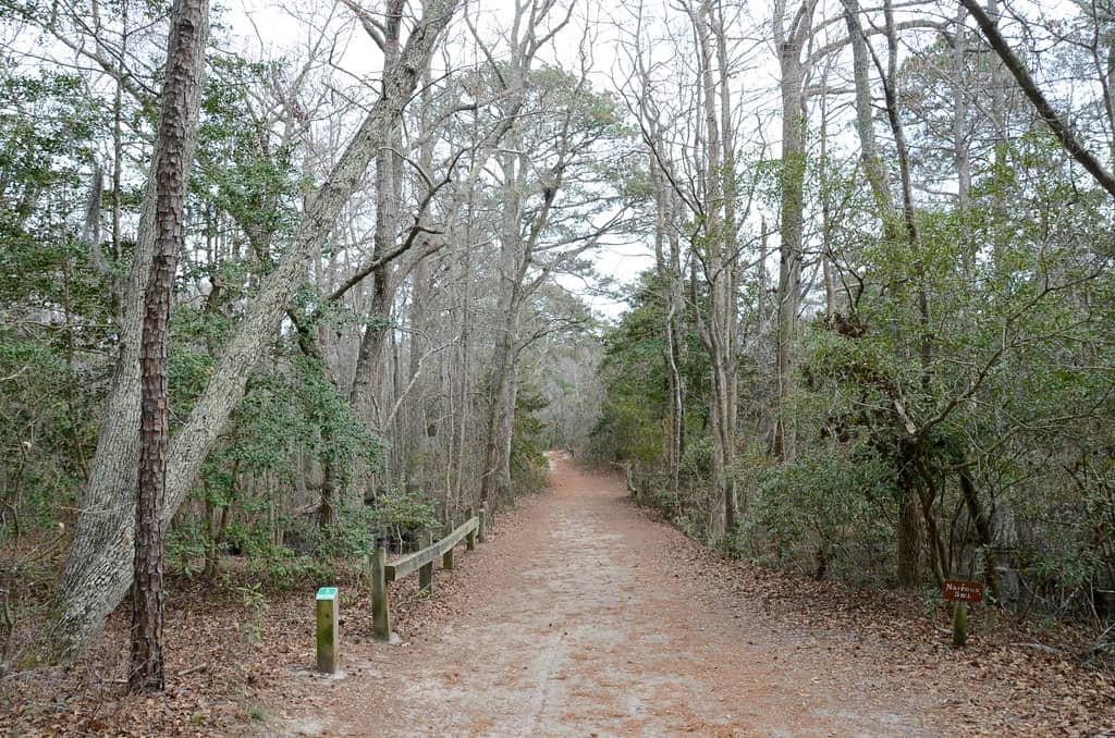 Maritime Forest Trails