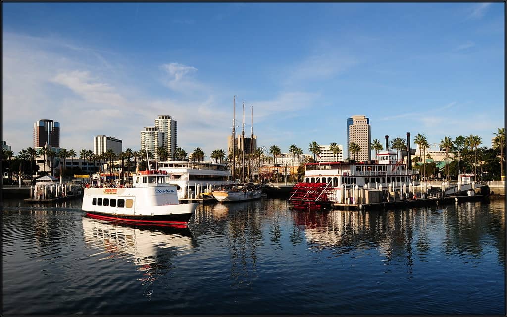 Boat Tours and Rentals