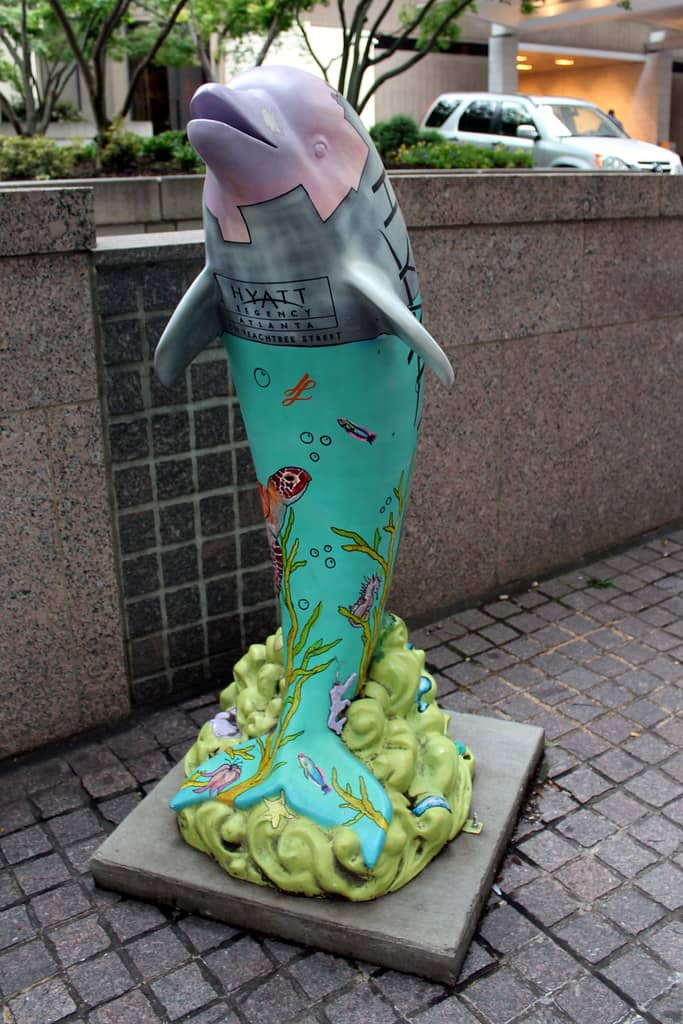 Dolphin Presentation