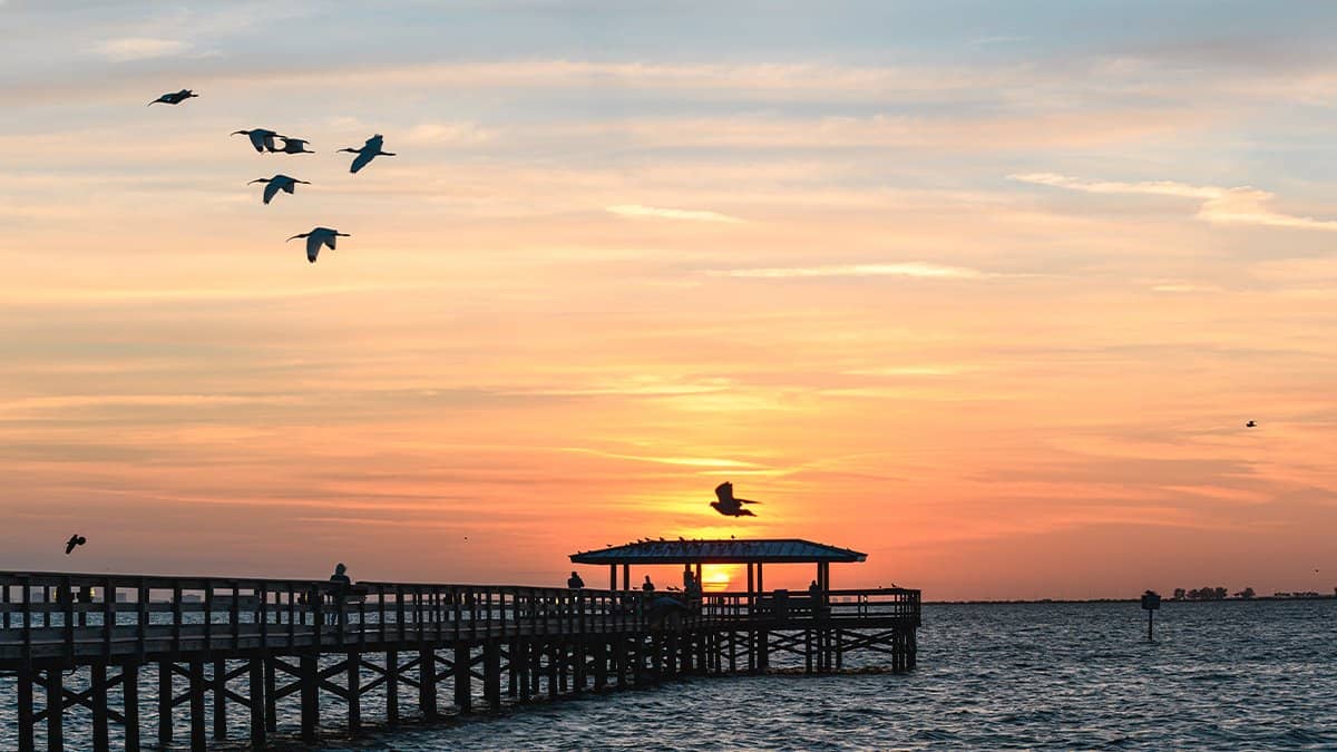 Waterfront Park & Pier