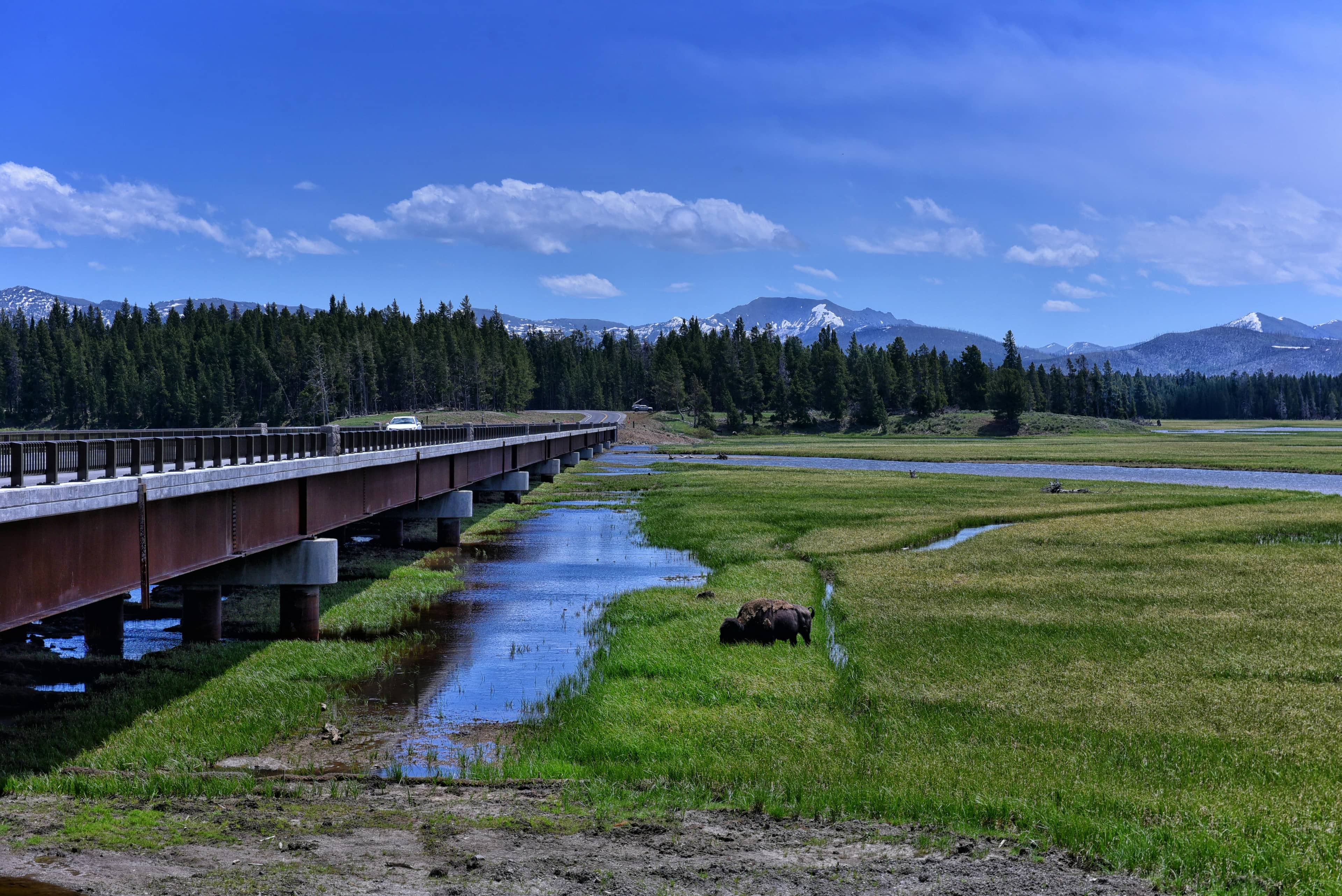 Yellowstone Lake Views