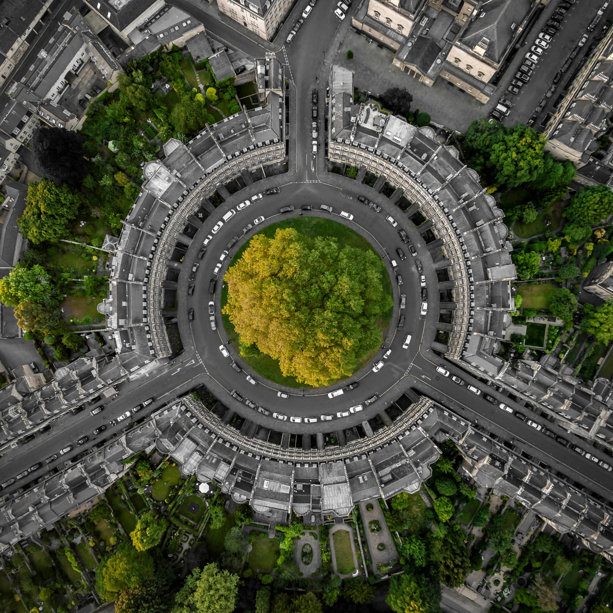 The Central Green Space