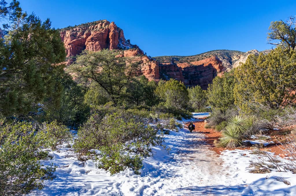 Canyon Floor Exploration
